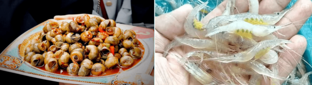 中食快讯|声江苏扬州：  “宜陵螺蛳”“高邮湖白虾”  获地理标志商标