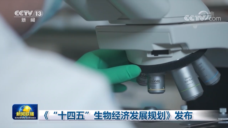 食品展资讯|人造肉在未来食品市场中的角色