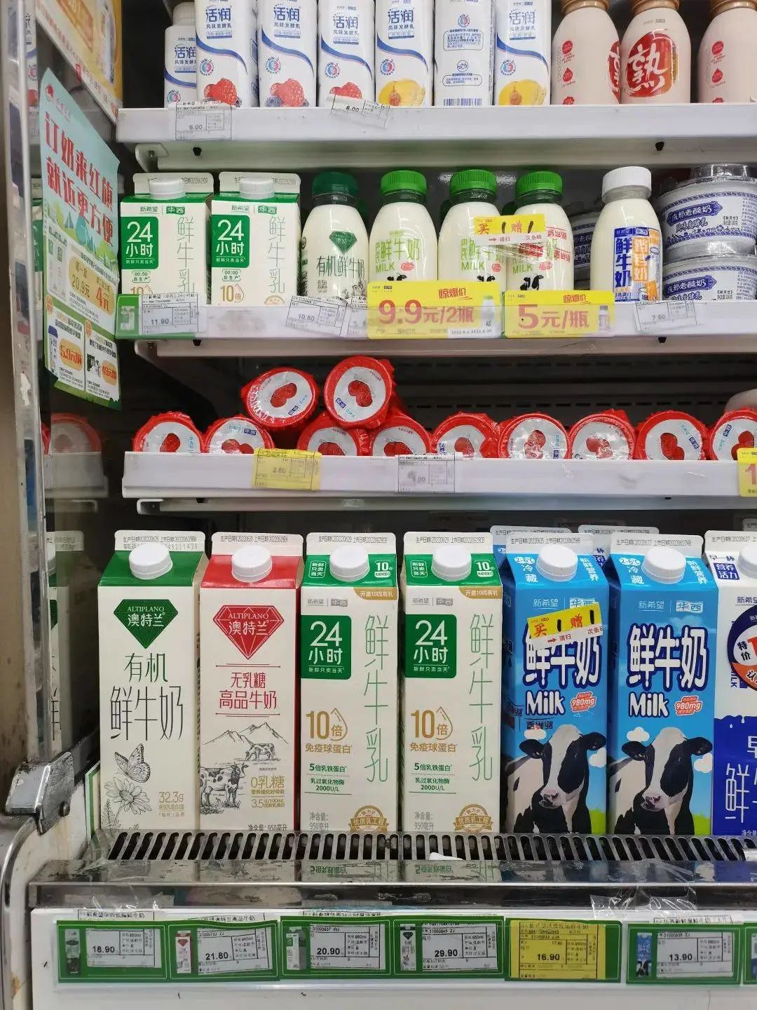 区域乳制品品牌优势尽显