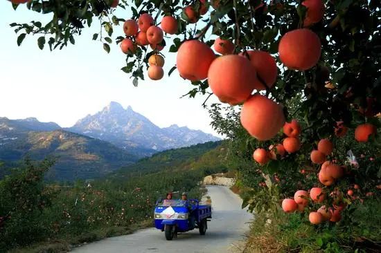 展商推荐｜栖霞除了红苹果还有”鲁佳香”花生酱香飘上海中食展