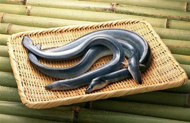 行业新闻 | 中欧班列进出口肉类重启！