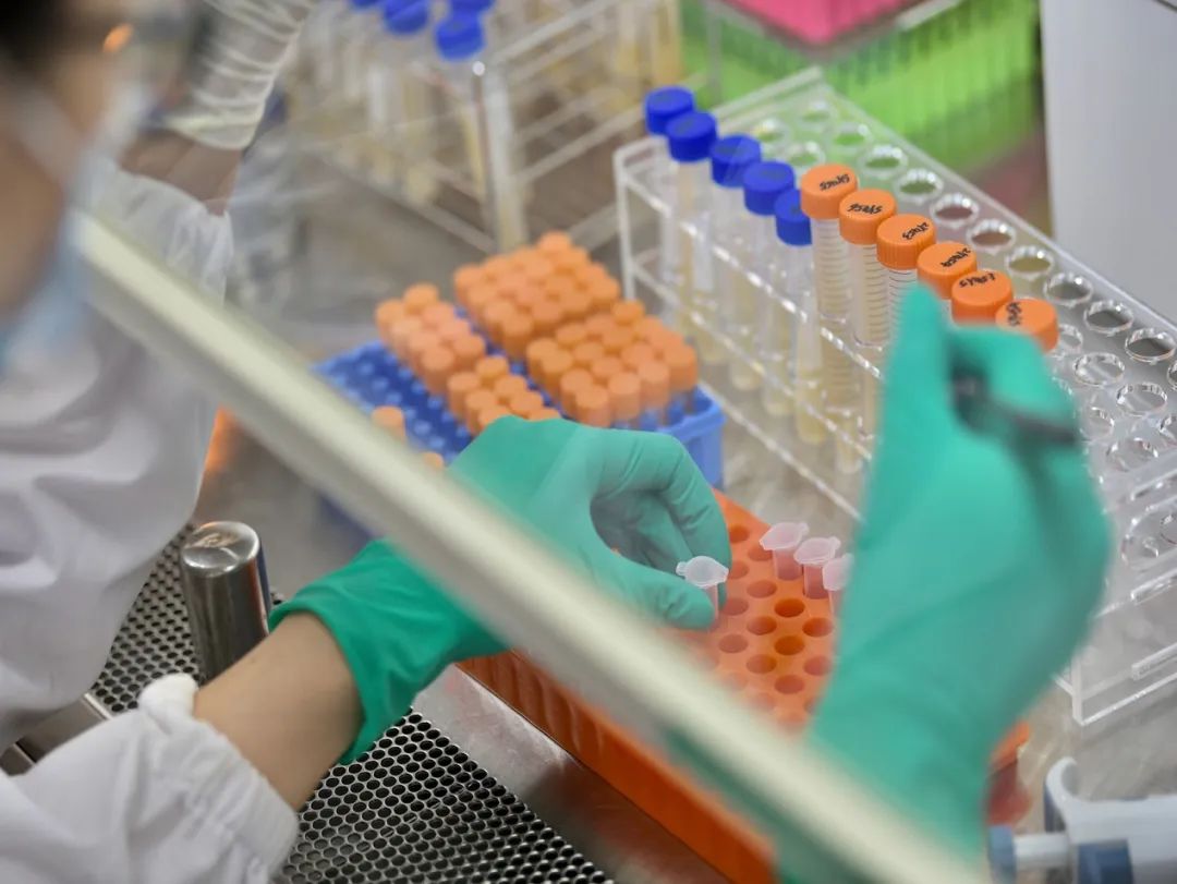 行业新闻 | 世界头部酵母生产商发布新品 带动烘焙新趋势