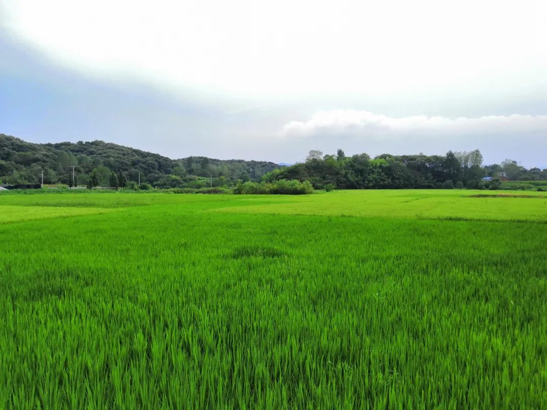 展商推荐｜绿色低碳生态农场，你了解多少？