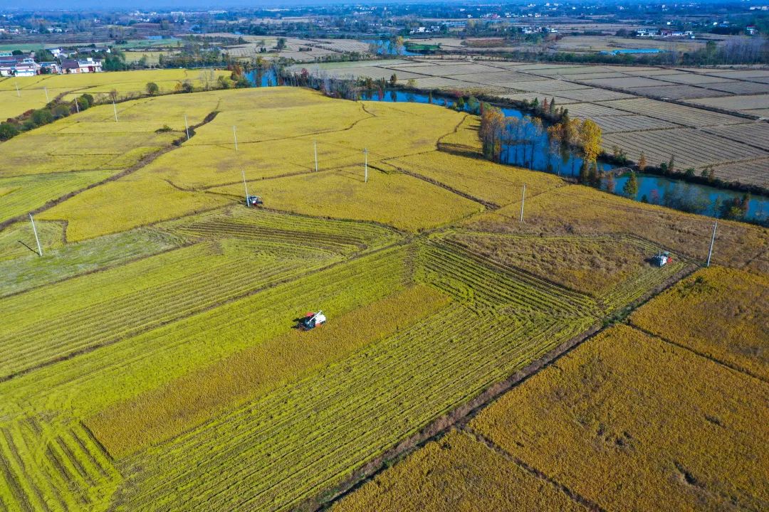 展商推荐｜绿色低碳生态农场，你了解多少？